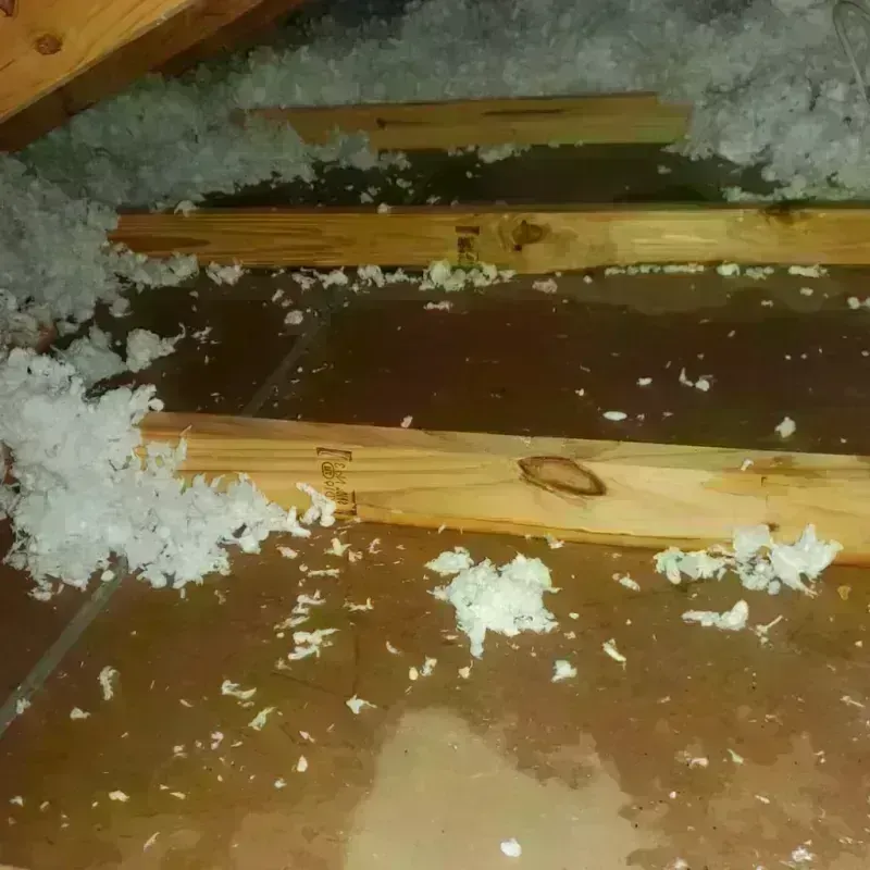 Attic Water Damage in Norwood Young America, MN