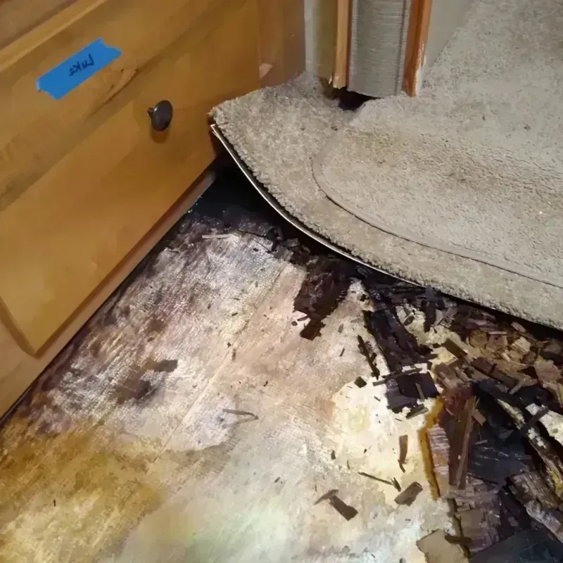 Best Wood Floor Water Damage Service in Norwood Young America, MN